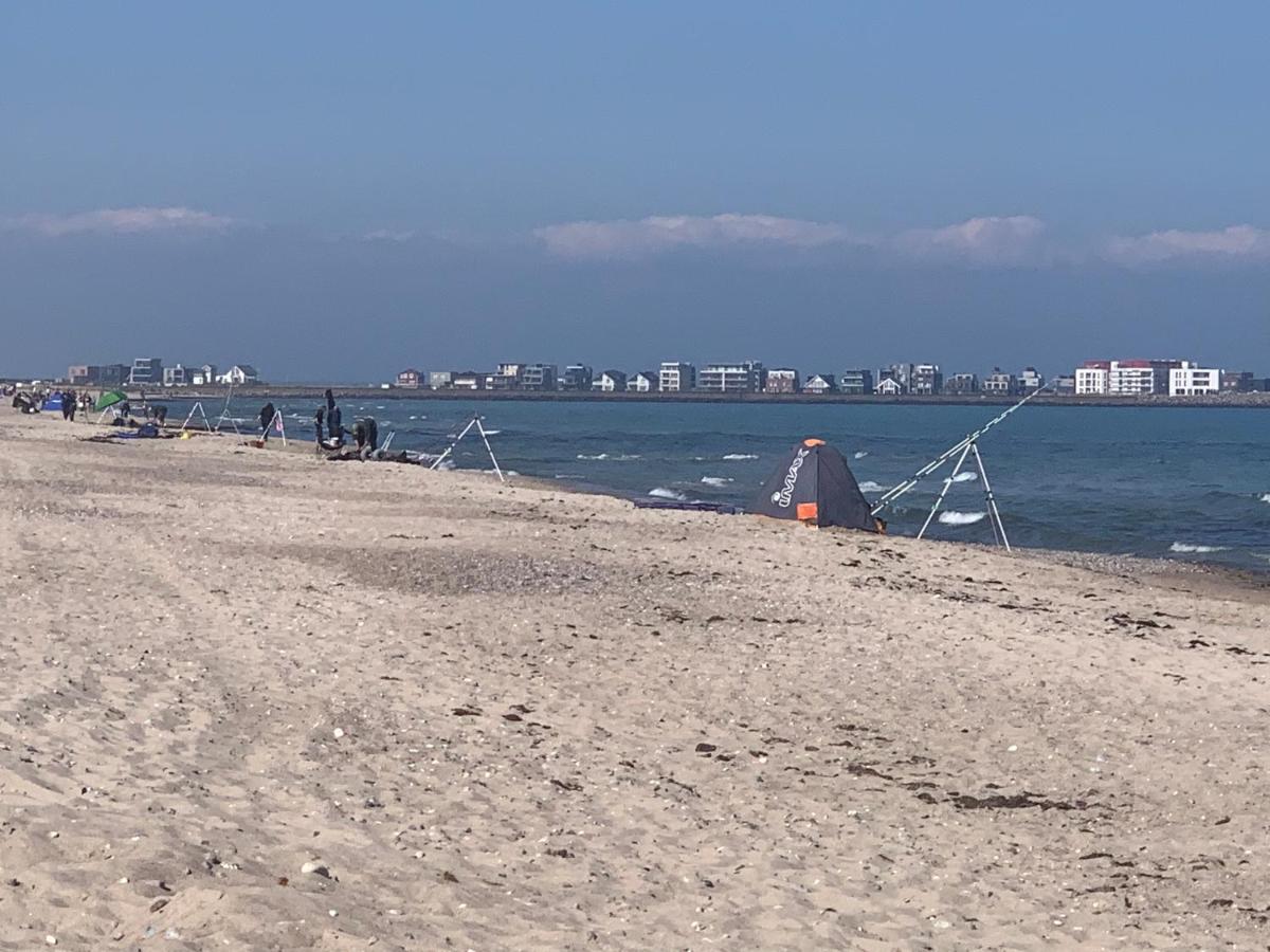 Segelund - Zeit Fuer Uns- Ruhige Und Sonnige Ferienwohnung Mit Terrasse Und Garten Nahe Strand Und Ostsee Schönhagen 외부 사진